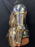 Titanium Cuiras with tassets