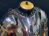 Titanium Cuiras with tassets