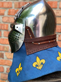 Europe heraldic bacinet “Paladin”