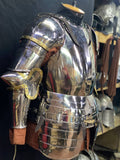 Titanium Cuiras with tassets