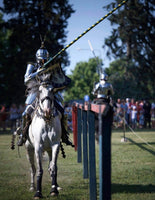 Milan armor set «Royal Flemish Knight» for jousting (tempered steel set)