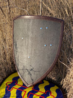 Duel shield